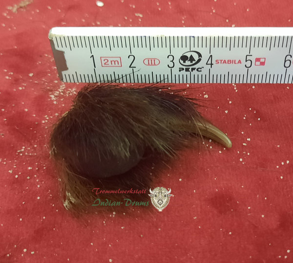 Bärenkralle BK-72, ca 4,0 cm Länge