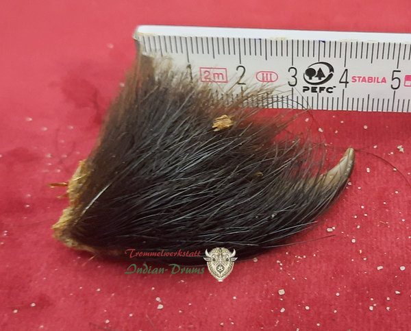 Bärenkralle BK-87, ca 4,5 cm Länge